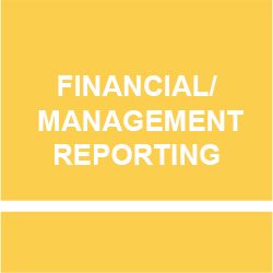 button financial reporting