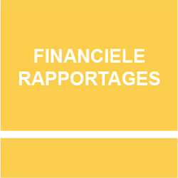 button financiële rapportages